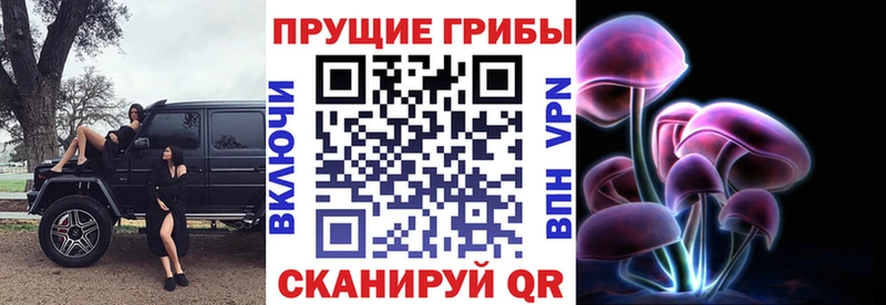 купить наркоту  Вихоревка  Псилоцибиновые грибы Psilocybe 